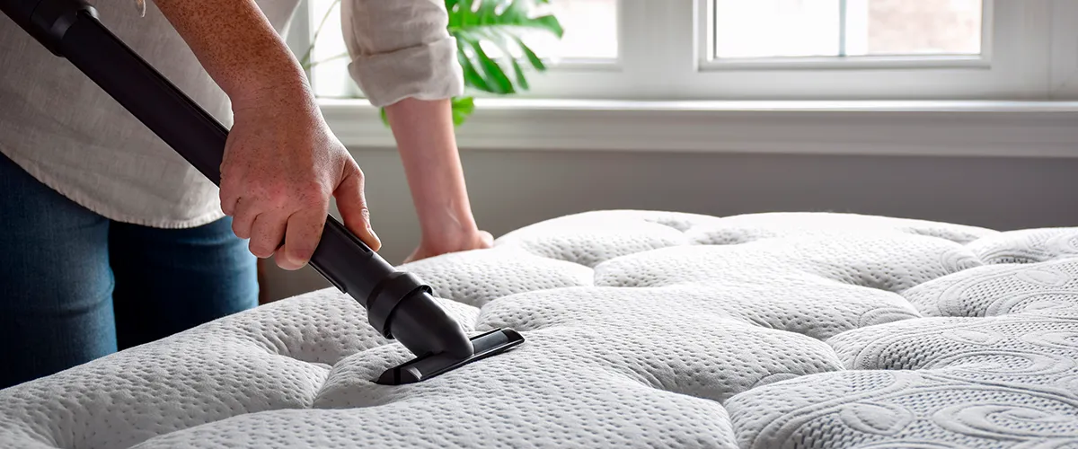 Alergie na roztoče: vše, co potřebujete vědět