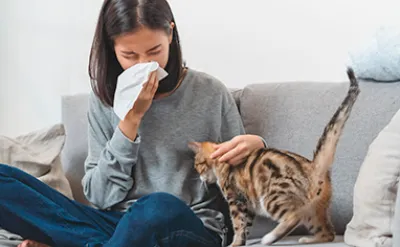 Alergie na kočky: život s alergií na kočky