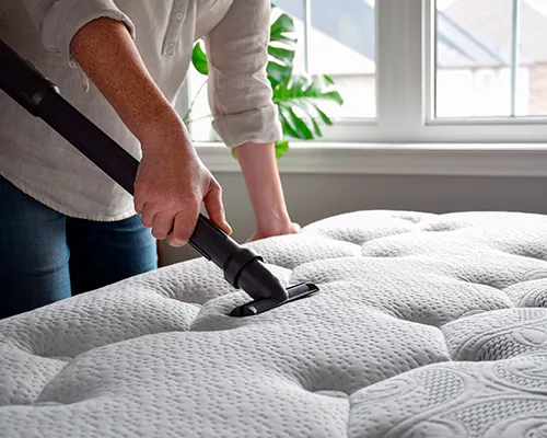 Alergie na roztoče: vše, co potřebujete vědět