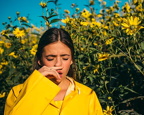 Alergie na pyl: vše, co potřebujete vědět