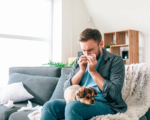 Alergie na domácí mazlíčky: život s alergií na psy