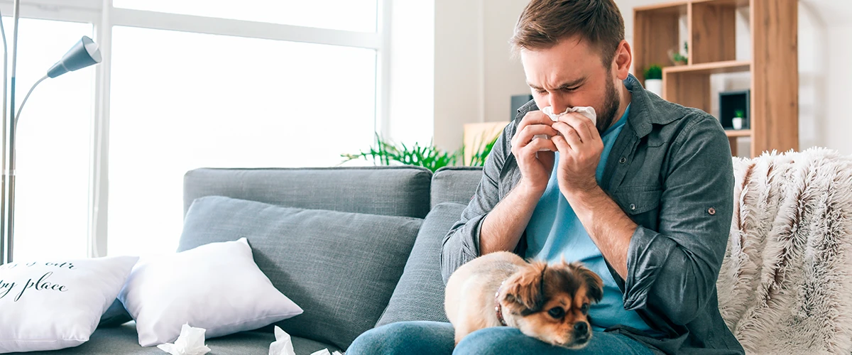 Alergie na domácí mazlíčky: život s alergií na psy