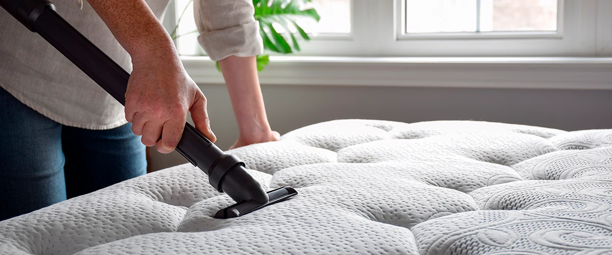 Alergie na roztoče: vše, co potřebujete vědět